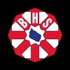 BHS Logistics internal