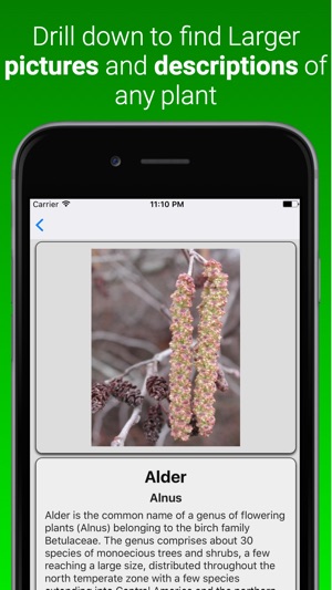 House Plant Dictionary Pro(圖2)-速報App