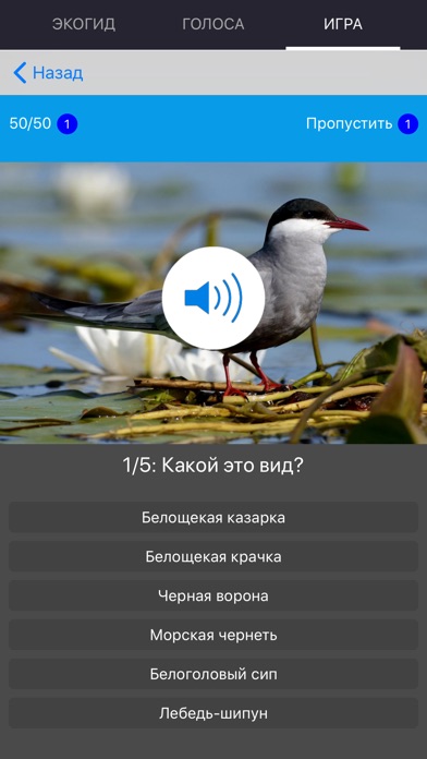 ЭКОГИД ПТИЦЫ И ГОЛОСА СКАЧАТЬ БЕСПЛАТНО ЭКОГИД ПТИЦЫ И ГОЛОСА СКАЧАТЬ БЕСПЛАТНО
