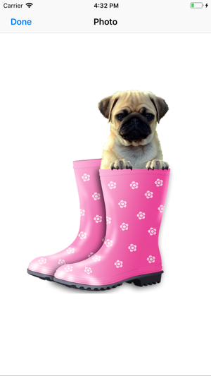 Pug Sticker Pack(圖6)-速報App