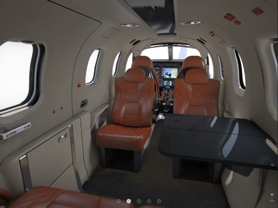 Screenshot #6 pour TBM 910 Interior