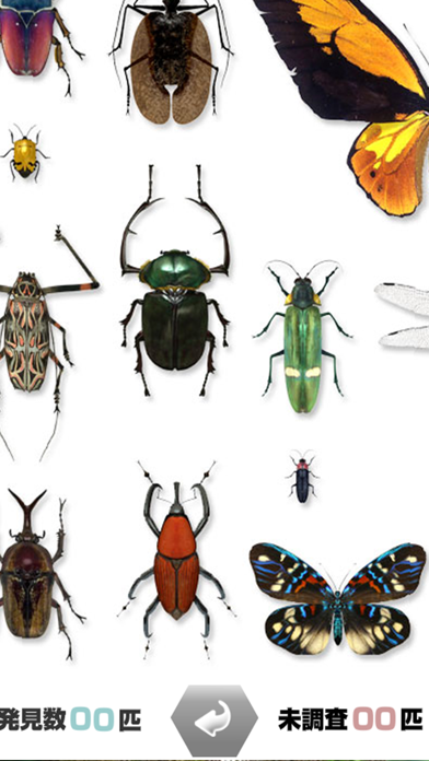 世界の昆虫採集ライトのおすすめ画像2