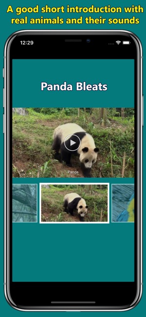Names of Animal Sounds(圖3)-速報App