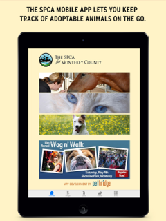The SPCA screenshot 5