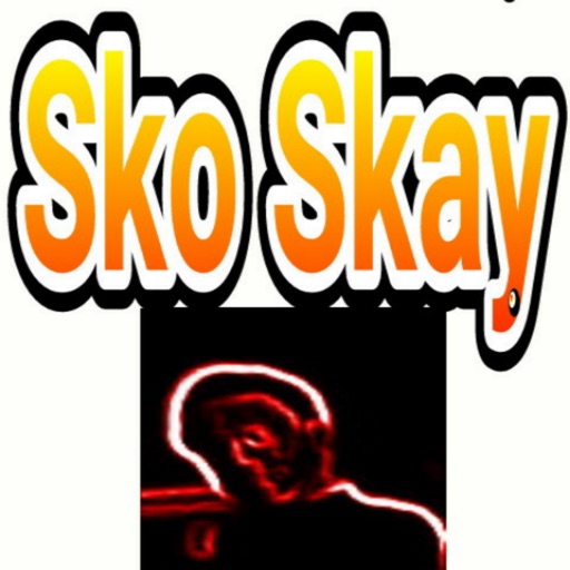 Sko Skay life calendar
