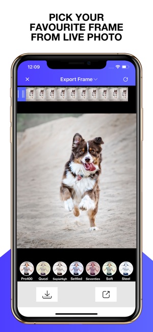 Live Photo To GIF Convertor(圖4)-速報App