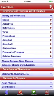 grammar practice ks2 iphone capturas de pantalla 2