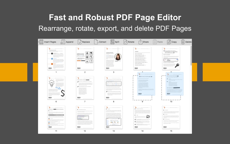 PDF Page Editor Pro Edition - 1.3 - (macOS)