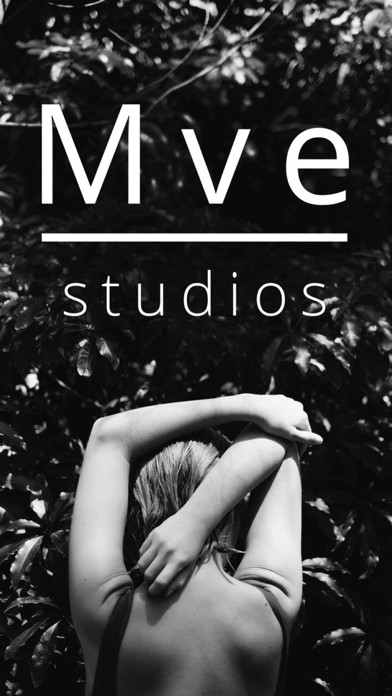 MVE studios screenshot 2