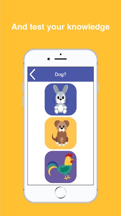 LinguaStart screenshot-3