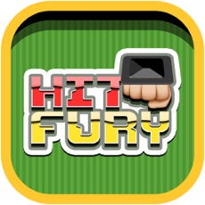 Activities of Hit Fury - Hit Unlimited