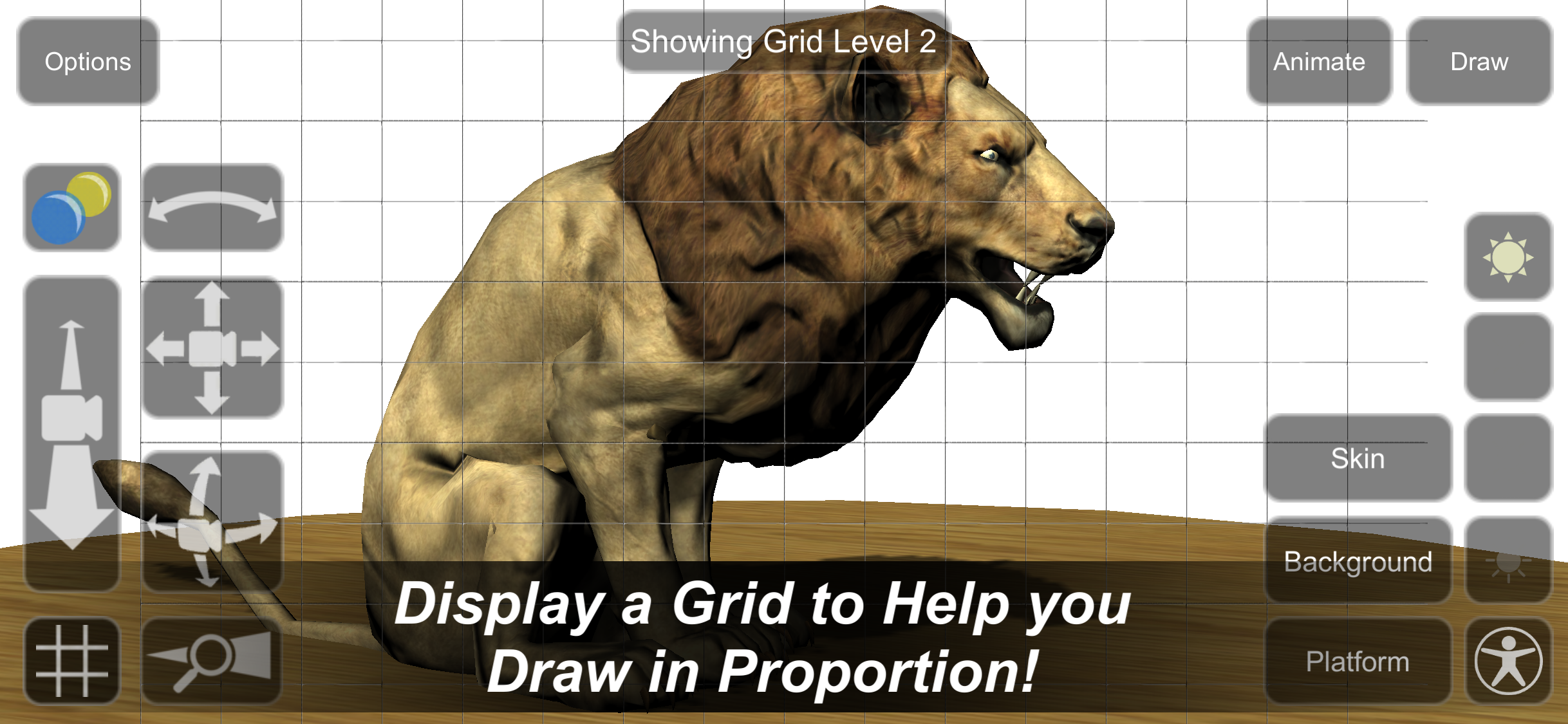 Lion Mannequin