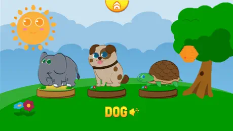 Funny Animals: Play and learn!