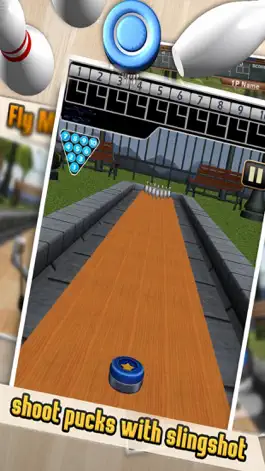 Game screenshot Outdoor Bowling Shuffle mod apk