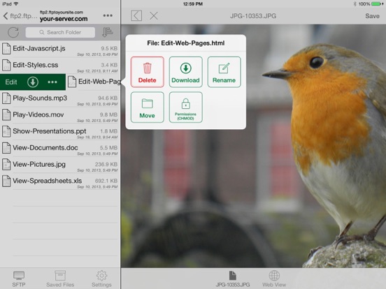 FTP On The Go Pro - Upgrade iPad screenshot