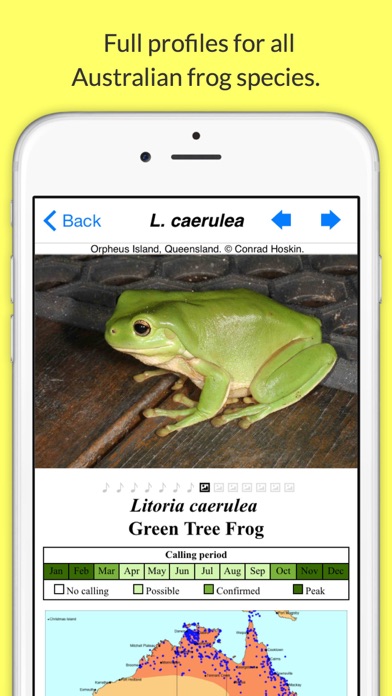 Screenshot #1 pour Frogs of Australia
