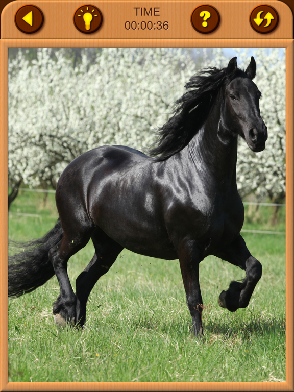 Screenshot #6 pour Horses Jigsaw Puzzles for Kids
