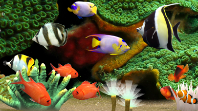 MyReef 3D Aquarium 3 Screenshot