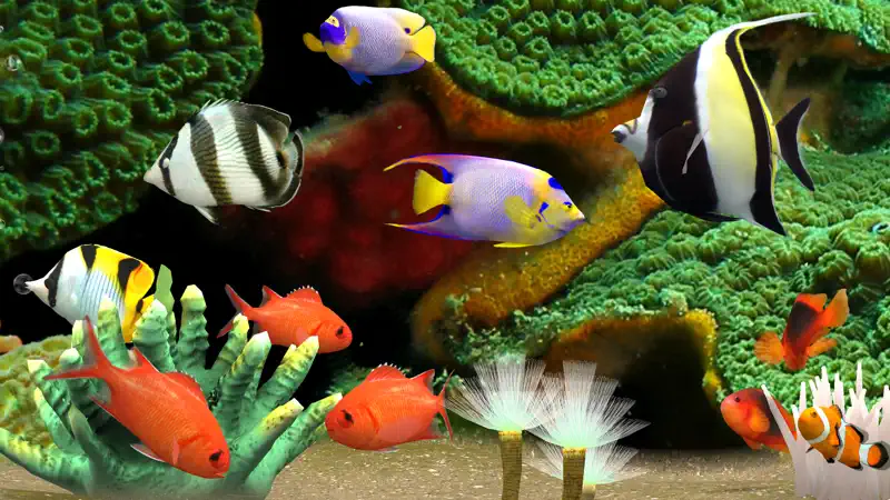 MyReef 3D Aquarium 3 screenshot 3 of 5