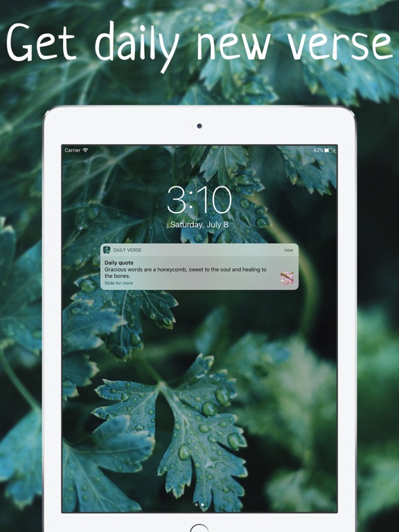 Screenshot #6 pour Bible verse of the day Daily devotionals