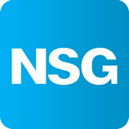 Visor Alarmas NSG