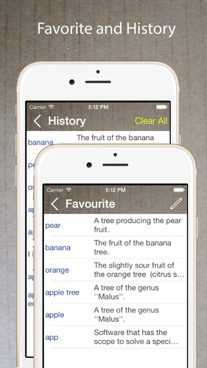 The English Dictionary Offline