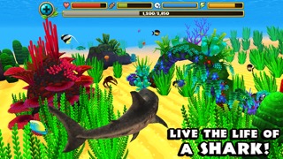 Wildlife Simulator: Sharkのおすすめ画像1