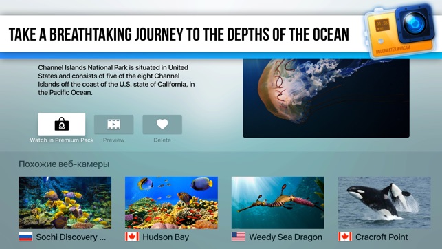 Underwater Webcam(圖3)-速報App