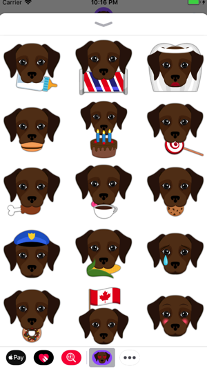 Animated Dark Chocolate Lab(圖2)-速報App