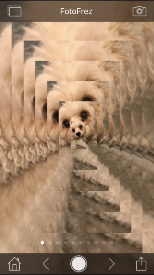 #7. Sensory FotoFrez - Fun Fotos (iOS) 由: Sensory App House Ltd
