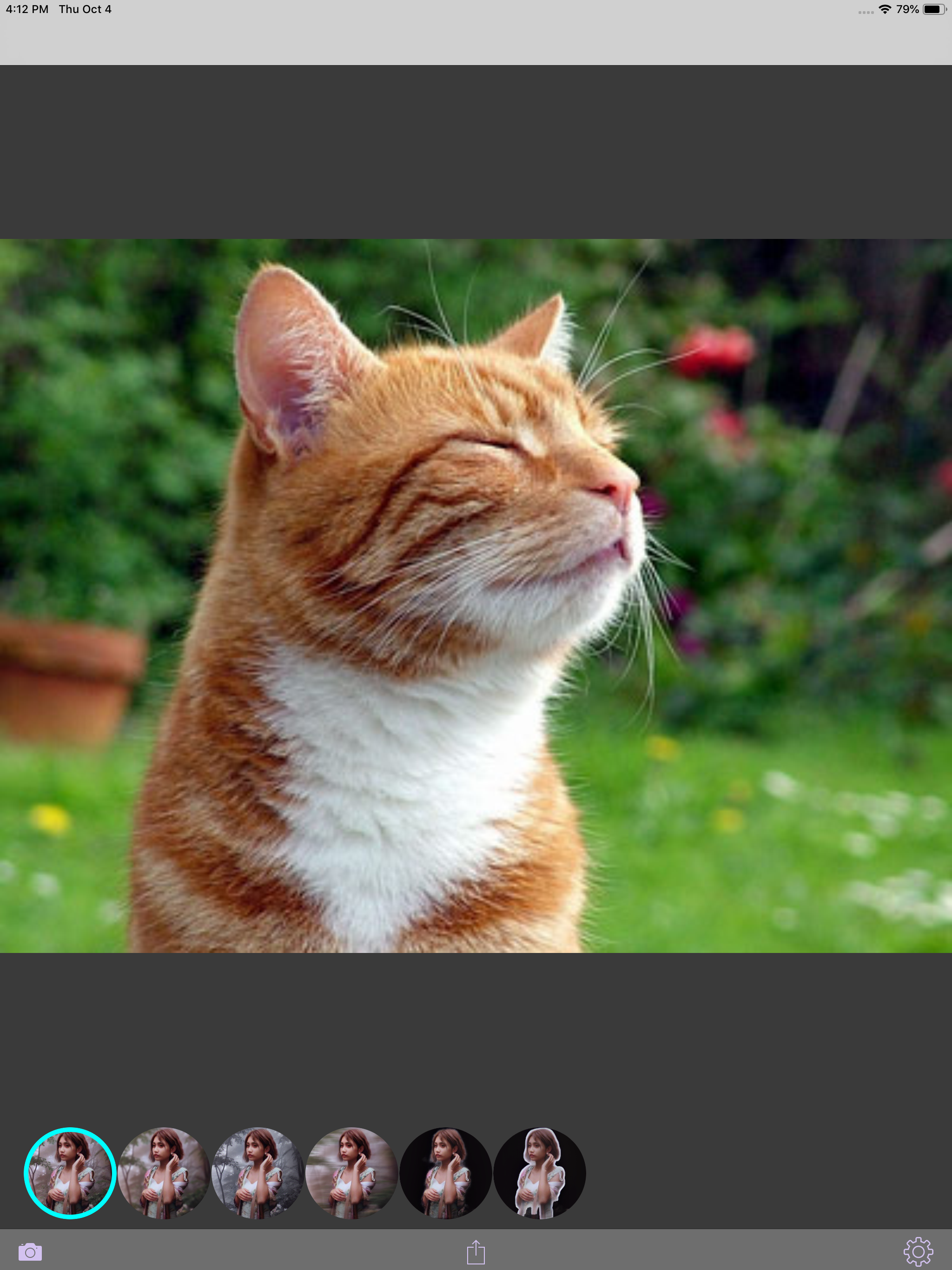 Pet Selfie AI screenshot 11