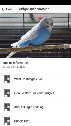 Pet Budgie Information & Care(圖2)-速報App