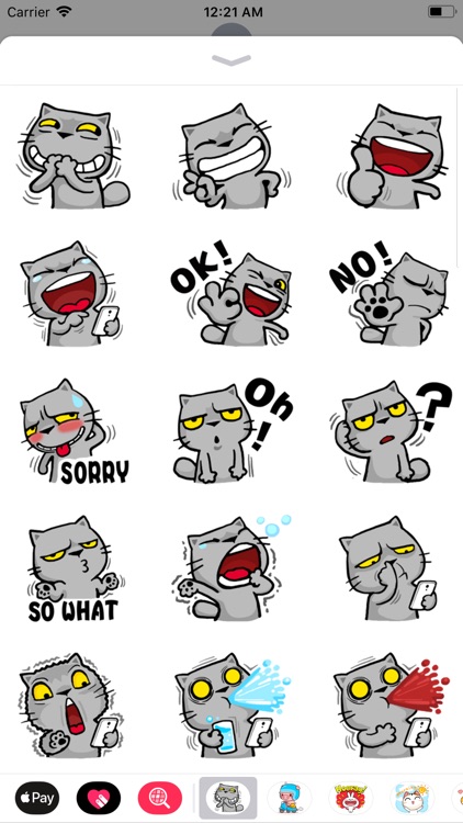 Crazy Cat Sticker