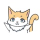 Jet Cat Sticker Pack app icon - Stickers app for iPhone