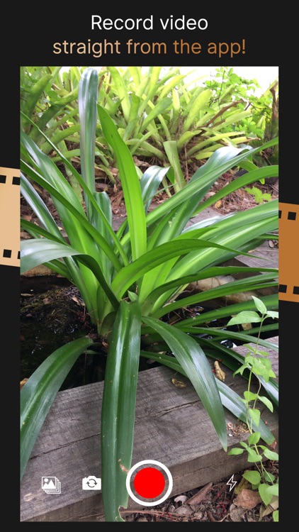 Cinemask screenshot-3