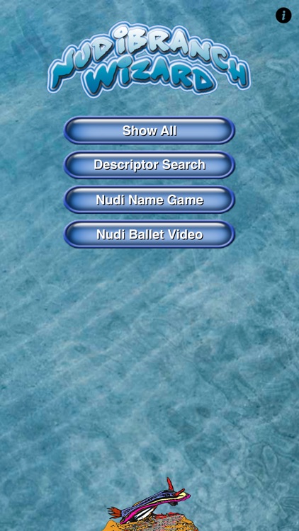 Nudibranchs screenshot-0