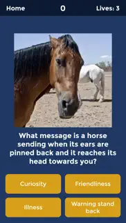 horse quiz by haygrazer problems & solutions and troubleshooting guide - 2