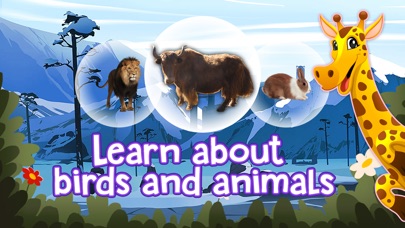 Birds and Animal Game for Kids screenshot 3