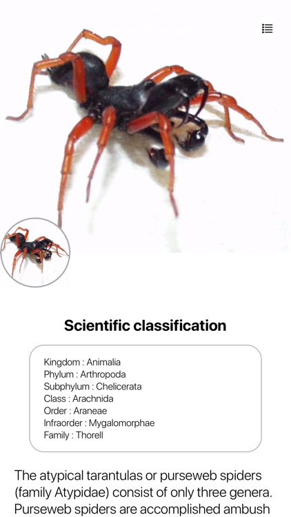 Spiders 2.0 screenshot-4