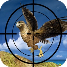 Activities of Challenge Sniper - Bird Hunt