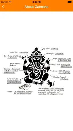 Ganesh Pooja screenshot 3