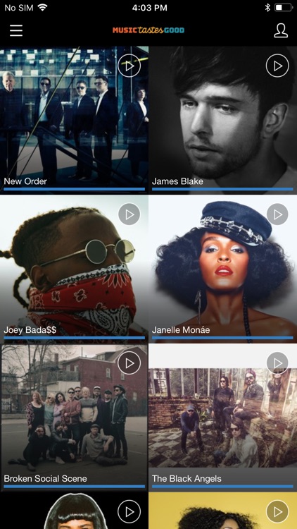 Music Tastes Good Festival