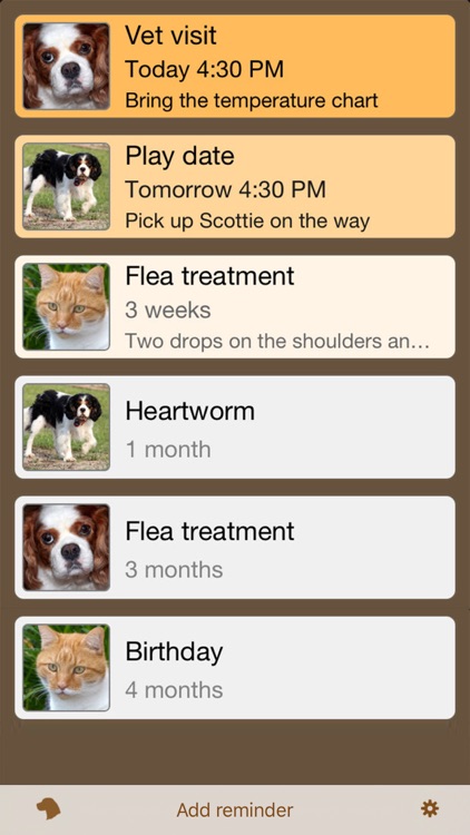 Paws Pet Reminders