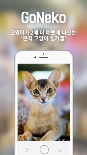 GoNeko(圖1)-速報App