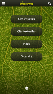 Arborescence screenshot 2