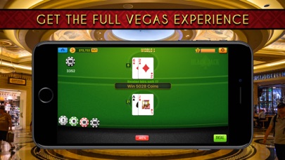 Big Casino Blackjack screenshot 4