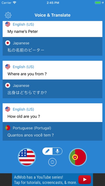 Voice & Translate