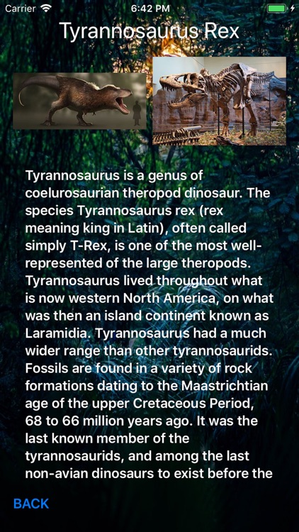 Dino Quiz 4 Kidz