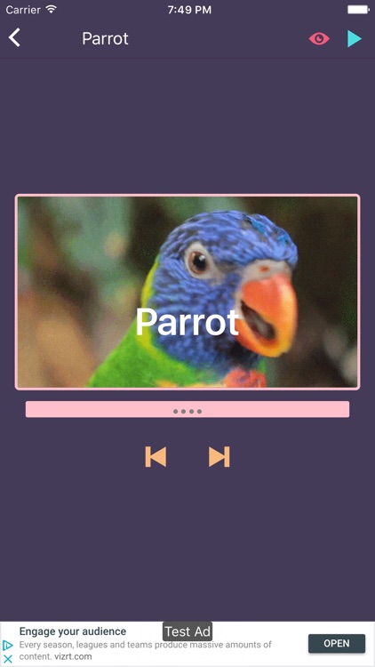 LonelyPix Animal Friends Lite