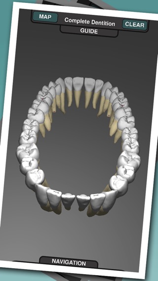 Real Tooth Morphologyのおすすめ画像1